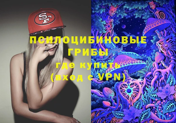 бутират Нестеровская