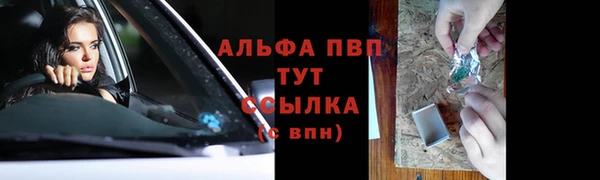 спиды Калининец