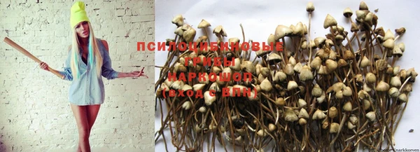 мет Фёдоровский